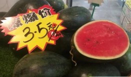 黑瓜吃料网.黑吃